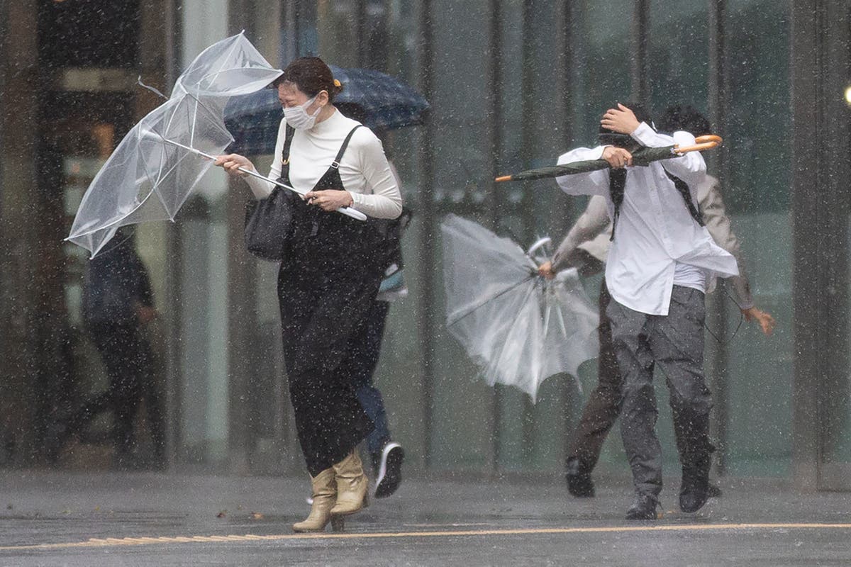 Strong typhoon near Tokyo disrupts some flights, trains 
