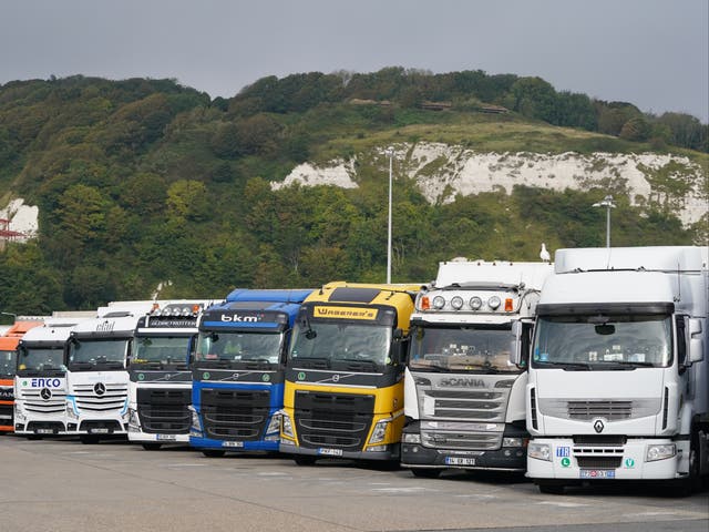 <p>Lorries parked in Dover: Treasury minister Simon Clarke says the government wants to encourage HGV drivers who left the profession to come back</p>