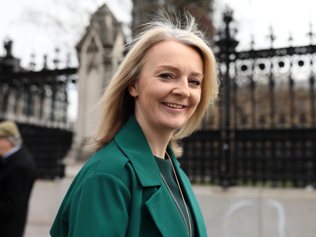 Liz Truss The Remain Backing Former Lib Dem Leading The Way To Succeed Boris Johnson The 