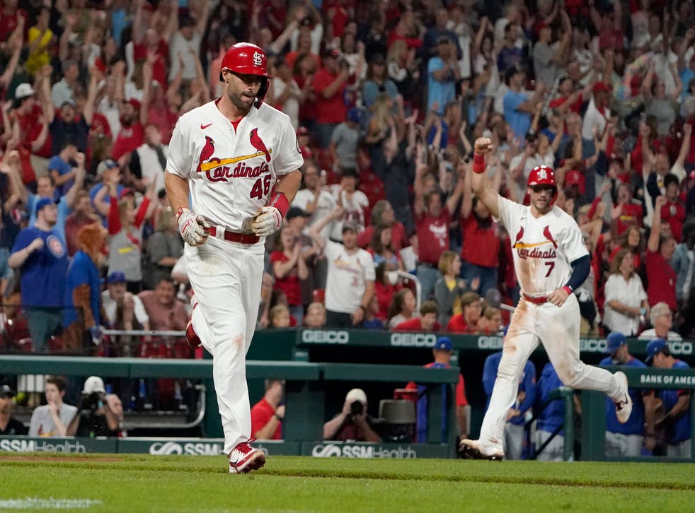CACHORROS-CARDENALES