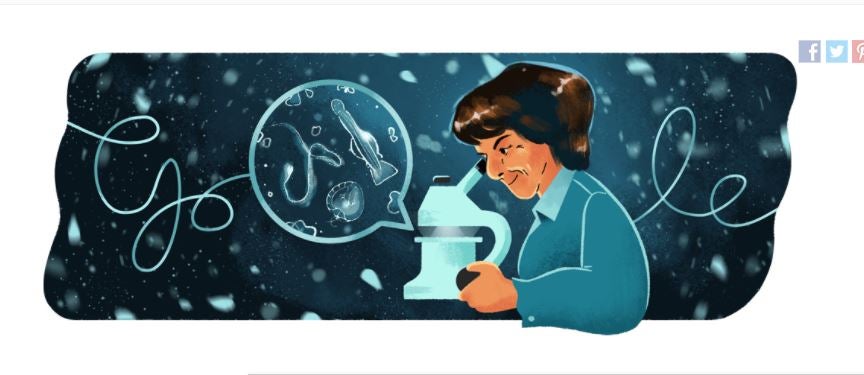 Google Doodle on 3 October celebrates the 105th birthday of Dr. María de los Ángeles Alvariño González