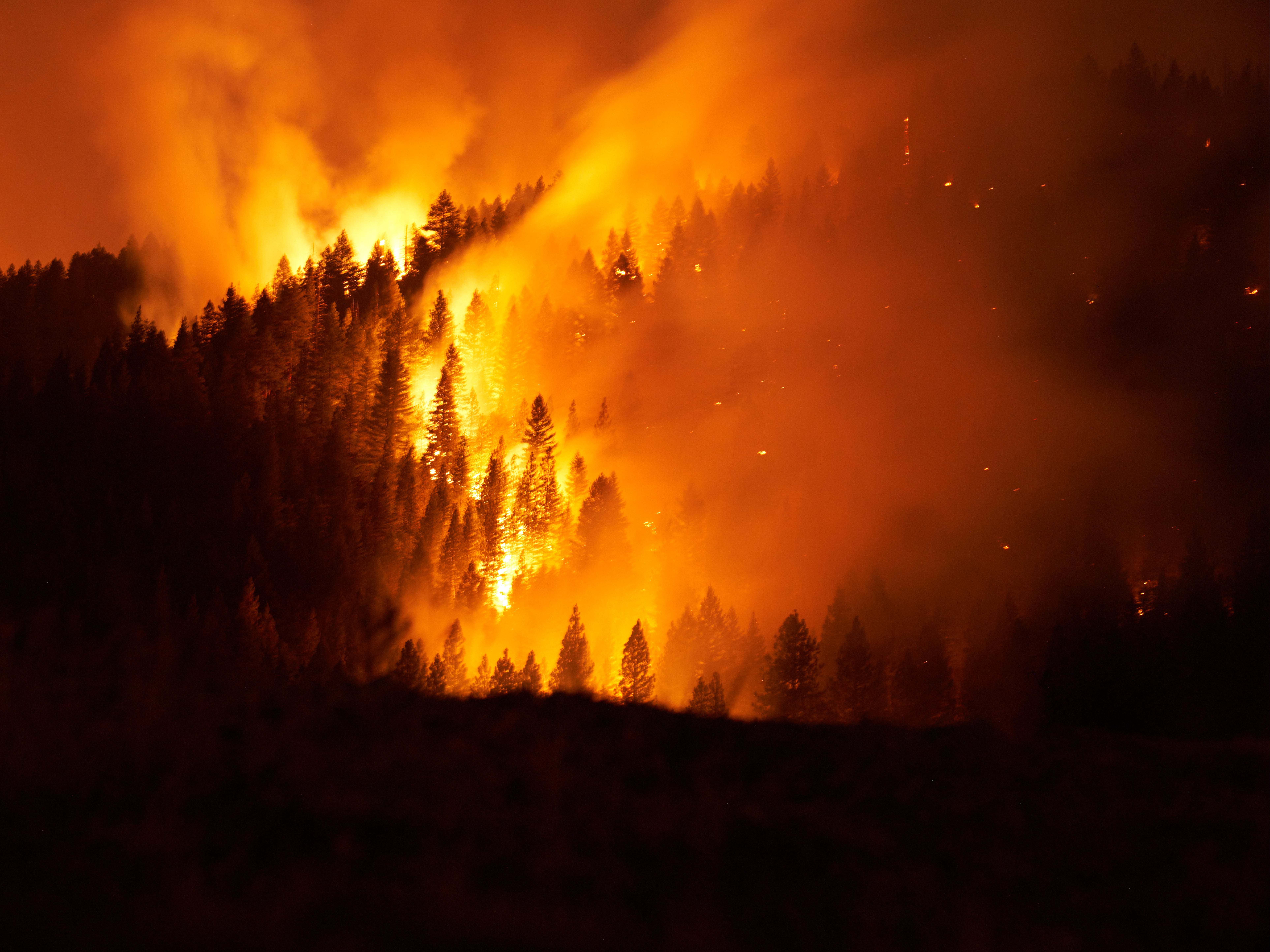 <p> El Dixie Fire, el segundo incendio forestal más grande de California en la historia, ha crecido a más de 700,000 acres.</p>