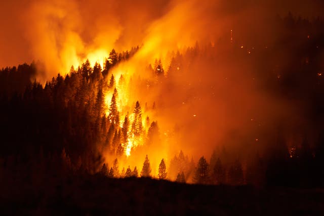<p> El Dixie Fire, el segundo incendio forestal más grande de California en la historia, ha crecido a más de 700,000 acres.</p>