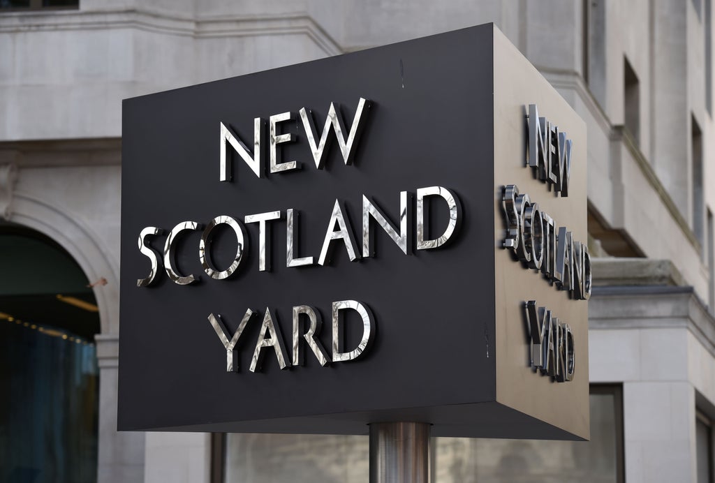 Met Police detective had sexual relationship with female suspect he was investigating 