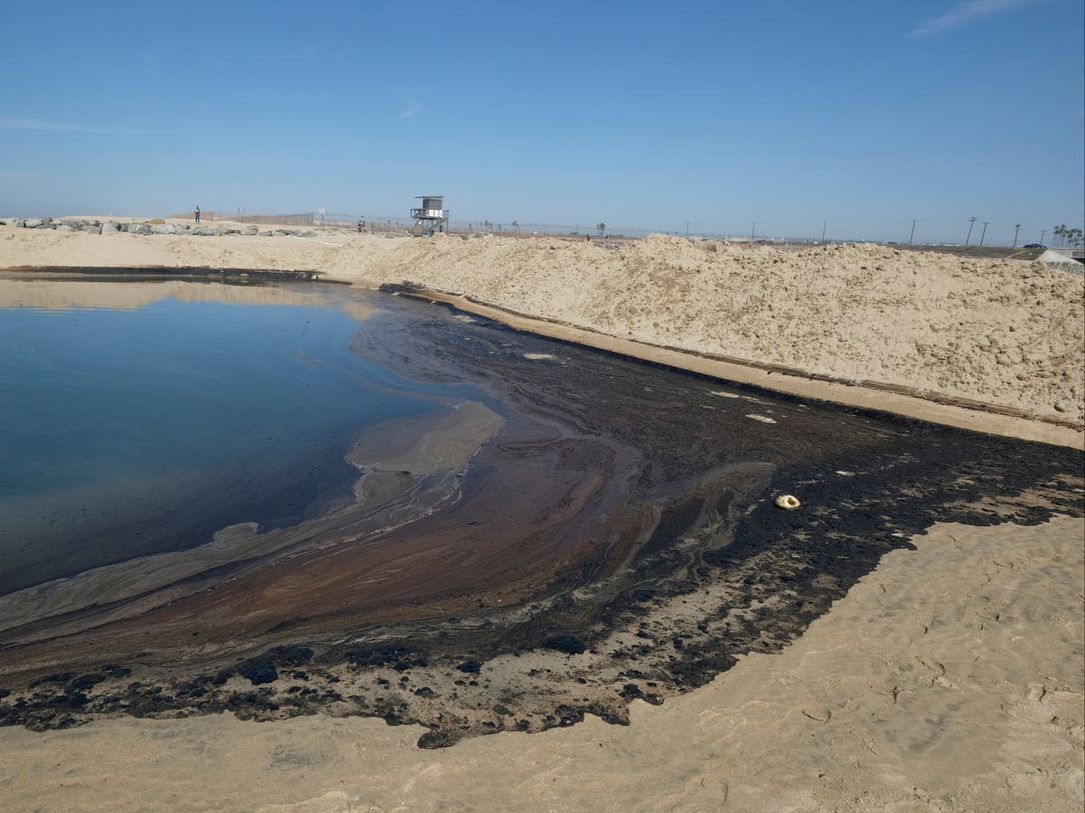 Dead birds and fish washing up on California beach after massive oil spill