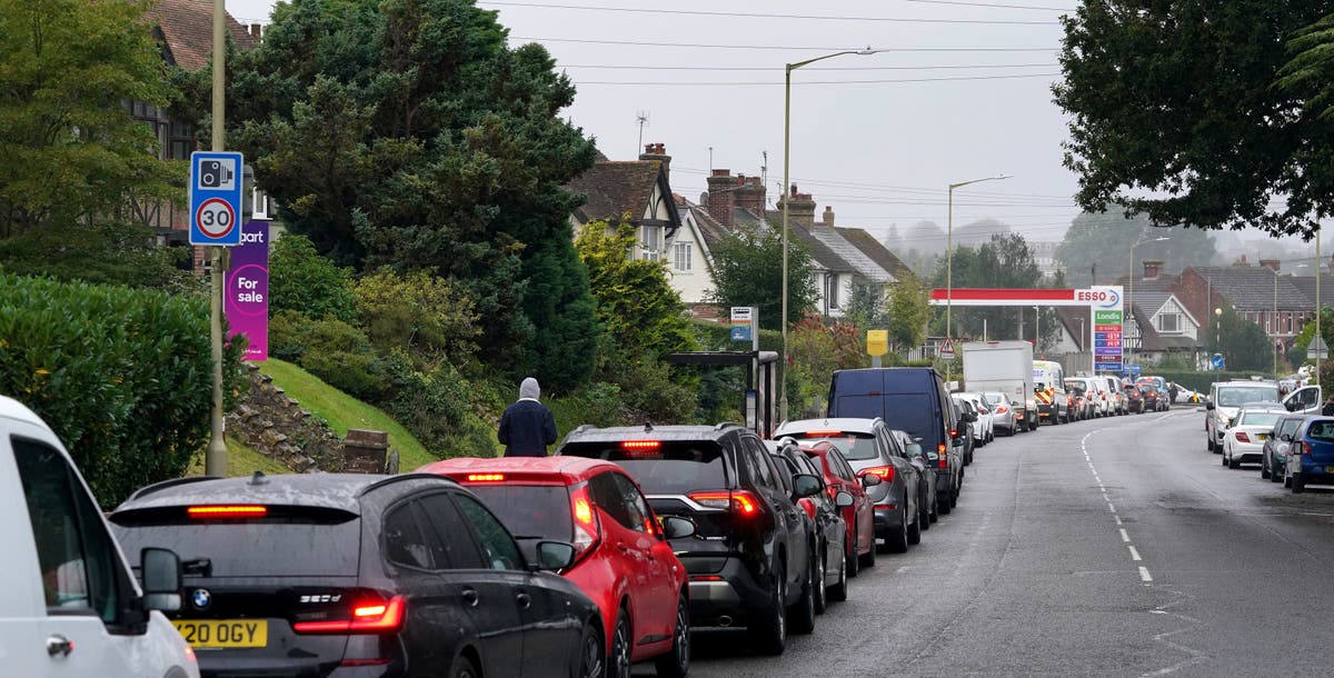 ‘British Renaissance has begun,’ declares Brexit minister as nation hit by petrol and food shortages