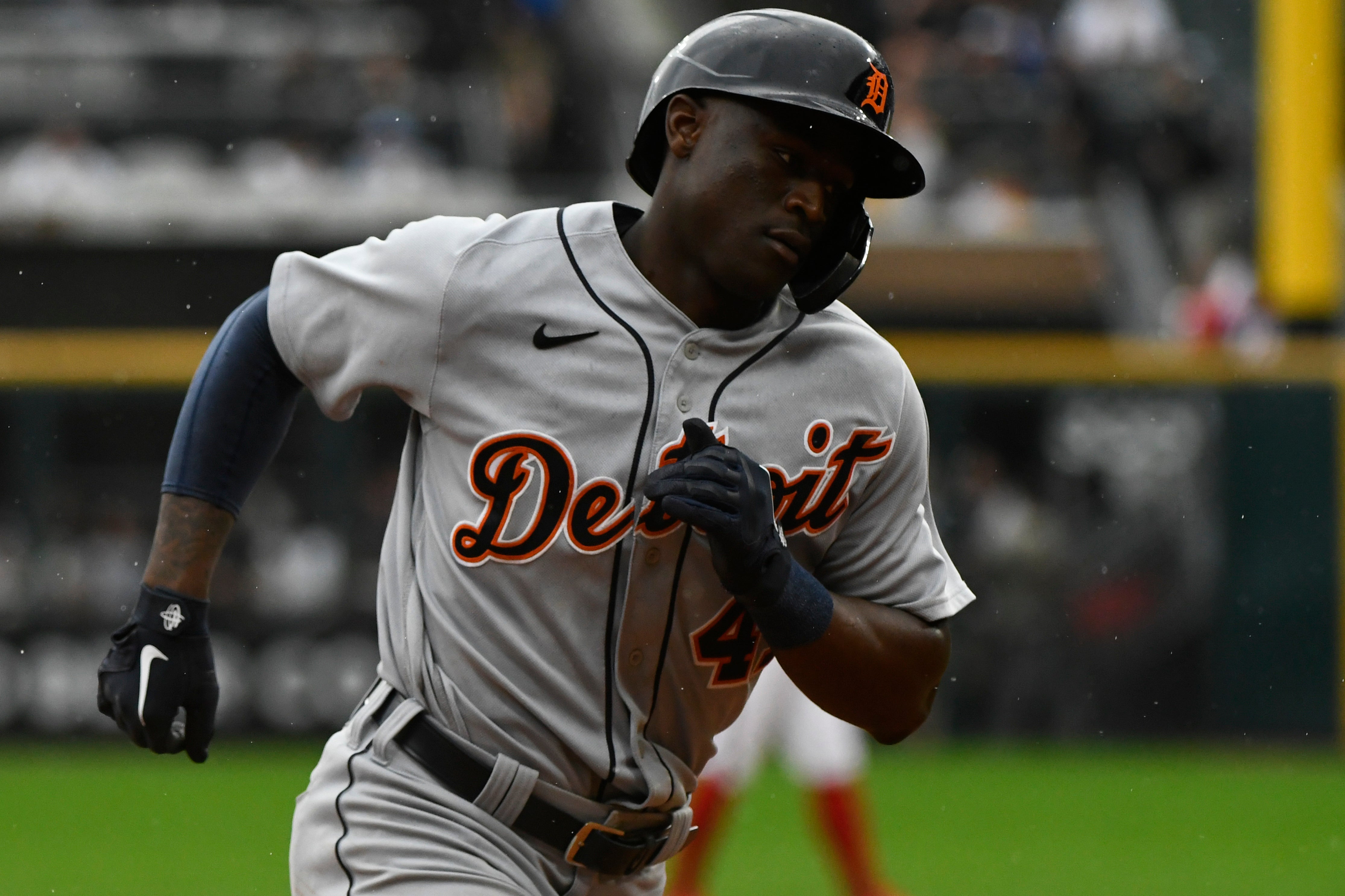 TIGRES-MEDIAS BLANCAS