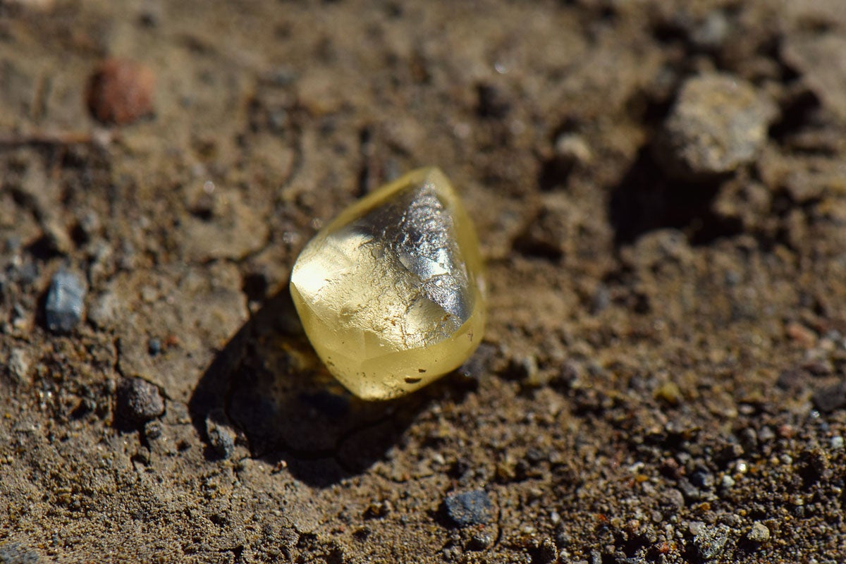 Noreen Wredberg found the 4.38-carat yellow diamond within an hour of searching