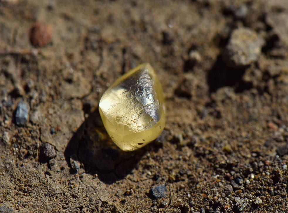 <p>Noreen Wredberg found the 4.38-carat yellow diamond within an hour of searching</p>