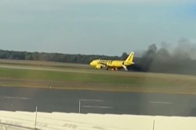 <p>A Spirit Airline plane caught fire on the runway after a bird entered one of its engines</p>
