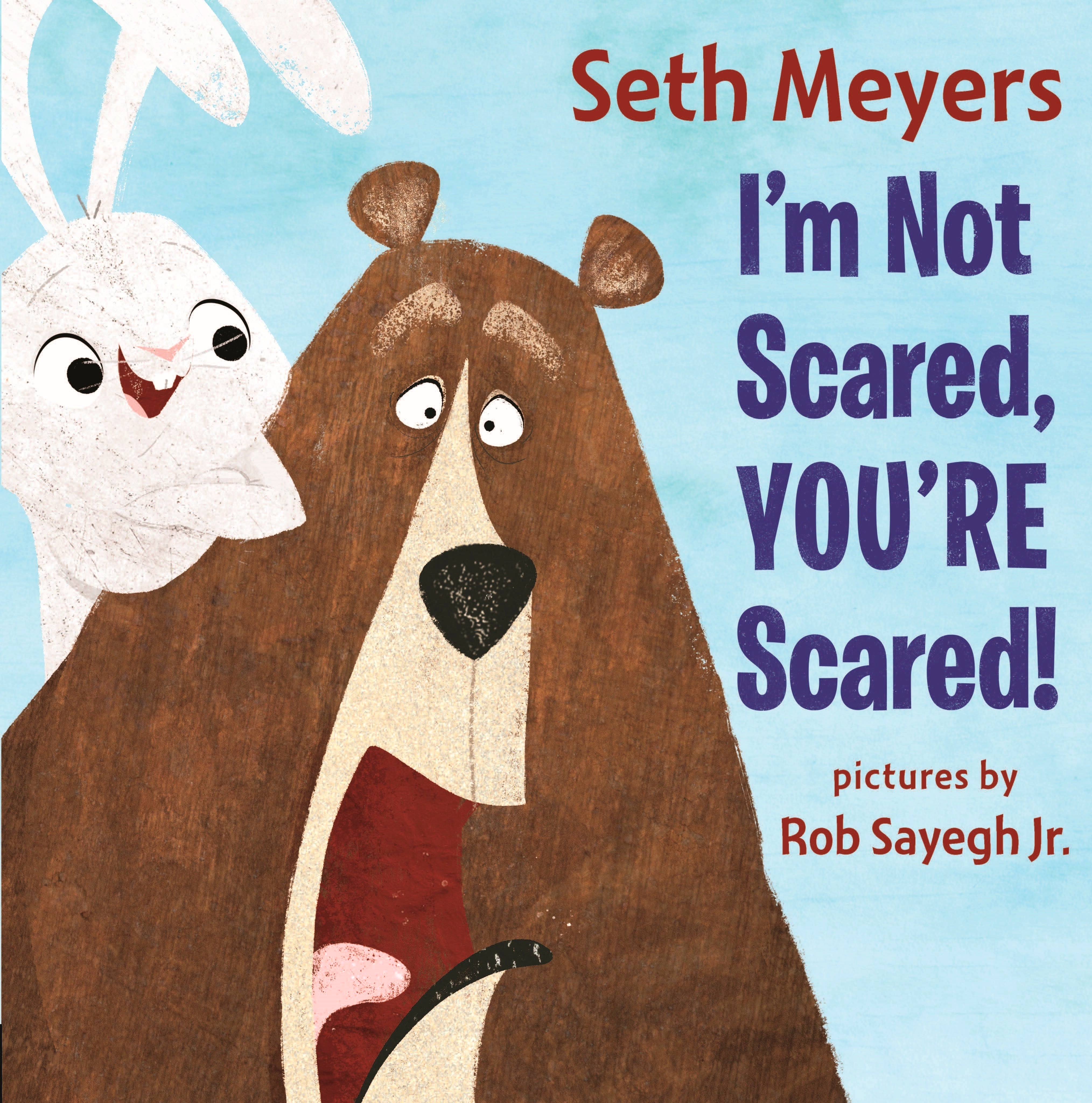 Books-Seth Meyers