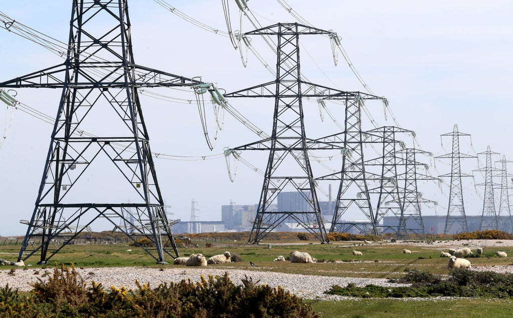 Ofgem opens probes into two electricity producers