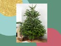 The best Christmas tree stands: Keep your festive fir upright and stable