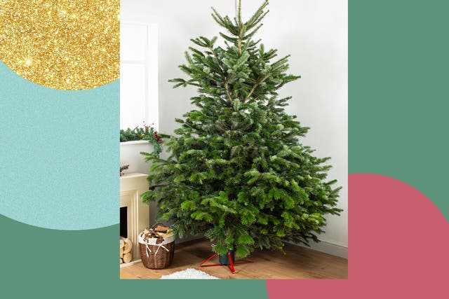 <p>Bear in mind it doesn’t just have to support your spruce, but all the decorations you’ll be loading it with too</p>