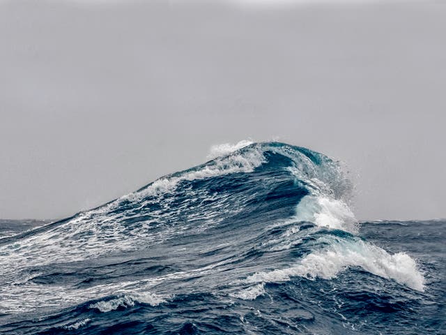 <p>In shallow water, the water on top of a wave travels faster than the water underneath </p>