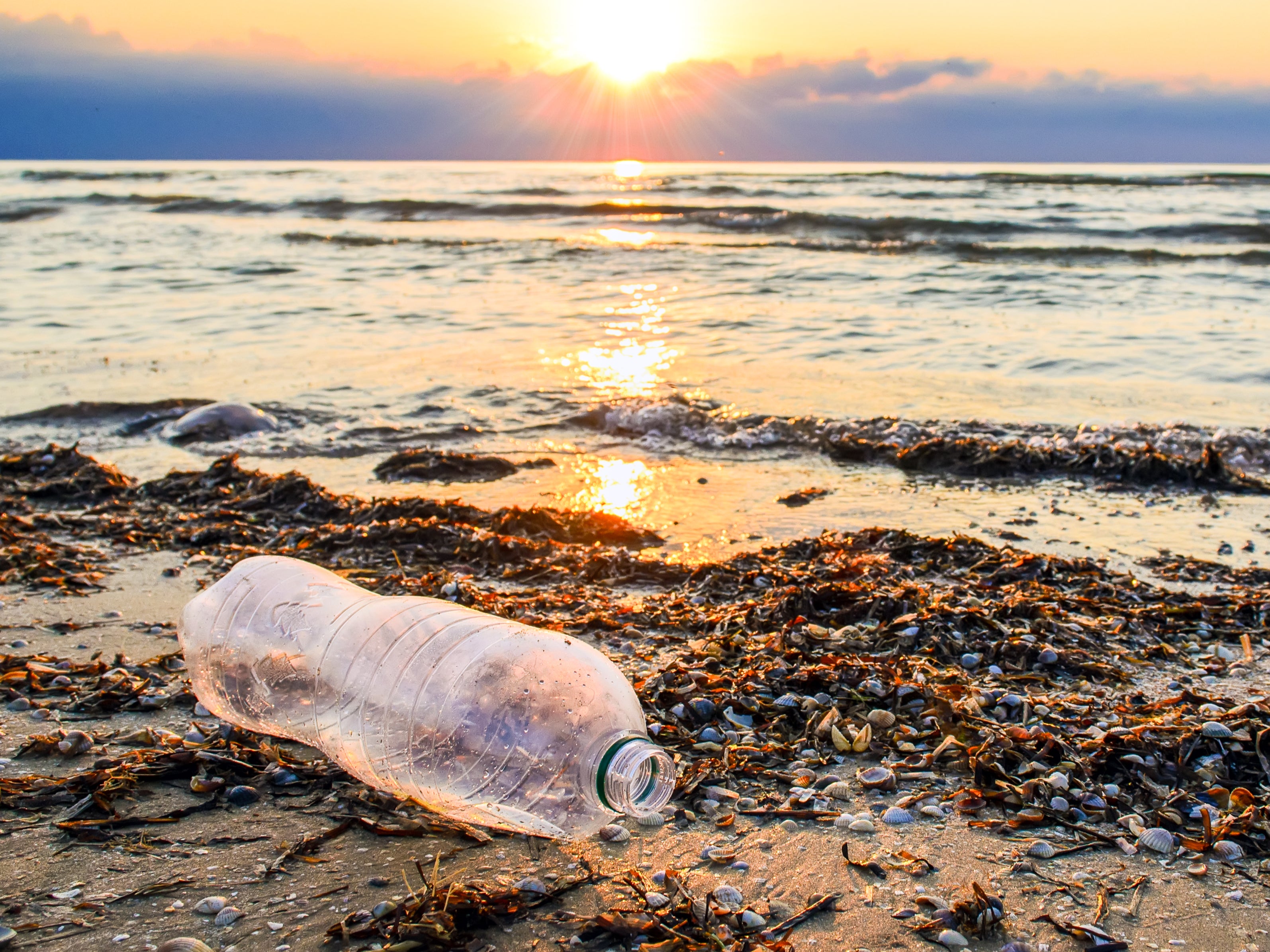 Estimates suggest there is currently 250,000 tonnes of plastic bobbing in open saltwater around the world