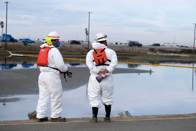 <p>Cleanup contractors get ready to work in the Wetlands Talbert Marsh after an oil spill in Huntington Beach</p>