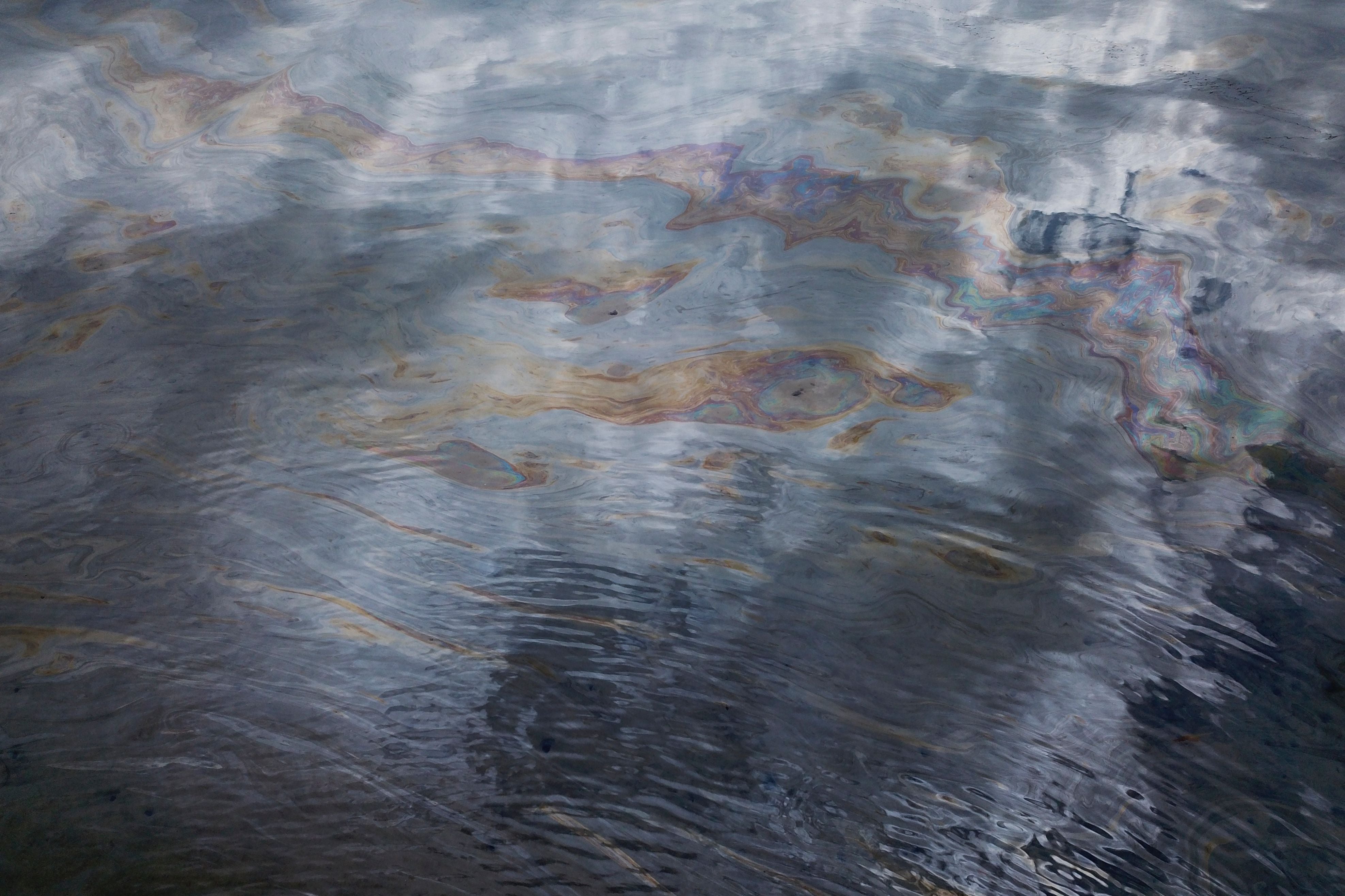 California oil spill: What caused the ‘environmental catastrophe’ as wildlife wash ashore?