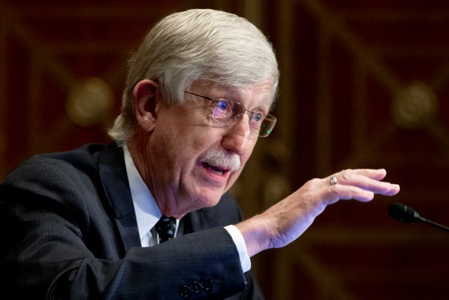 NIH Director