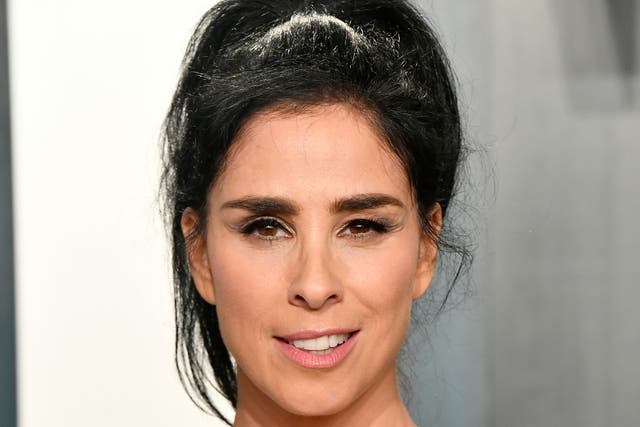 <p>Sarah Silverman pictured in February 2020</p>