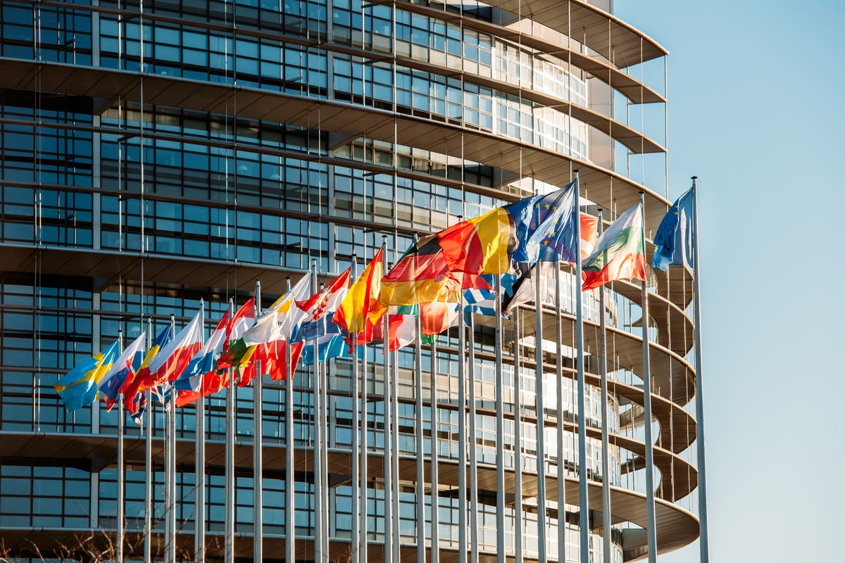 European Parliament overwhelmingly votes to send MEPs to joint UK-EU ...