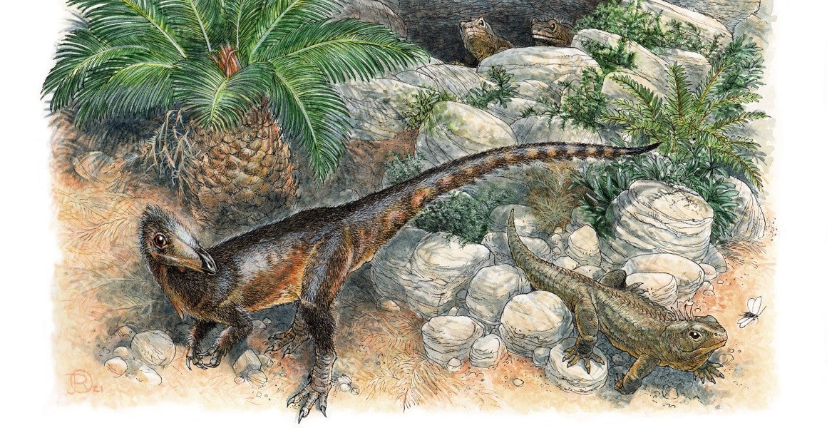 Pendraig milnerae was a small species of carnivorous dinosaur, living in what is now southern Wales