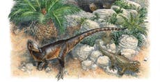New species identified is oldest-known meat-eating dinosaur from UK