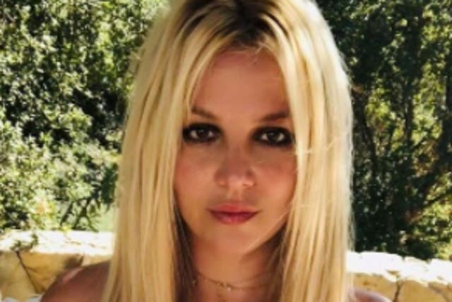 <p>Britney Spears shared a new message about her family on Instagram</p>