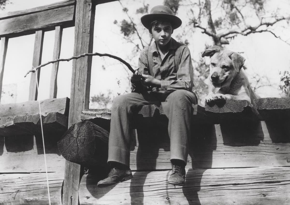 Tommy Kirk: Clean-cut child star of Old Yeller Tommy Kirk: Clean-cut child star of Old Yeller