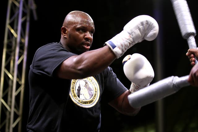 Dillian Whyte, pictured, takes on Otto Wallin on October 30 (Nick Potts/PA)
