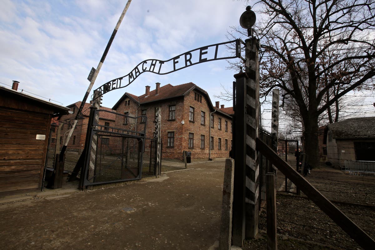 Tourist detained by police after making Nazi salute outside Auschwitz ...