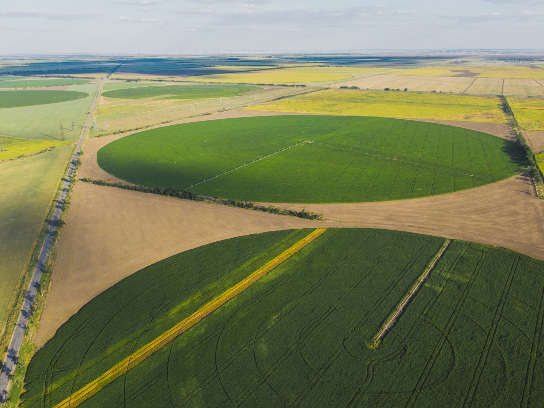 Circular fields on farms in Ukraine. ‘Patchworks of nature’ alongside high-yield farming areas will help biodiversity flourish, researchers say
