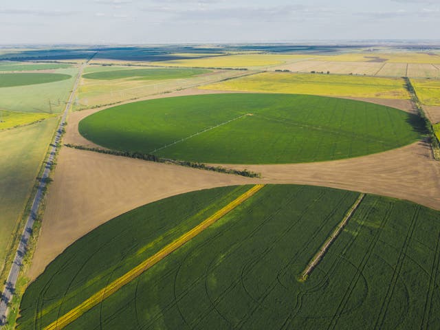 <p>Circular fields on farms in Ukraine. ‘Patchworks of nature’ alongside high-yield farming areas will help biodiversity flourish, researchers say</p>