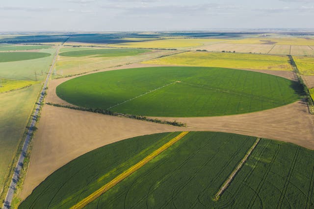 Campos circulares en granjas en Ucrania. Los 'retazos de la naturaleza' junto con las áreas agrícolas de alto rendimiento ayudarán a florecer la biodiversidad, dicen los autores