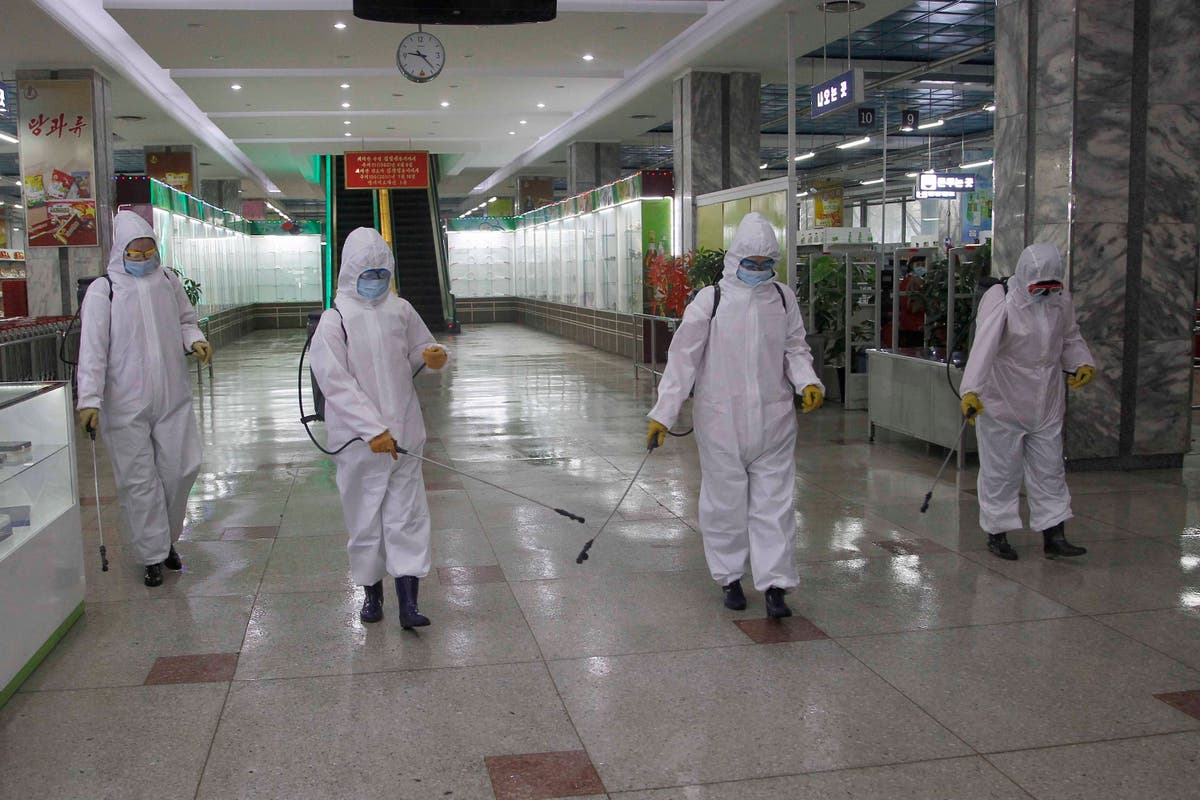 WHO working to get COVID-19 medical supplies to North Korea WHO working to get COVID-19 medical supplies to North Korea