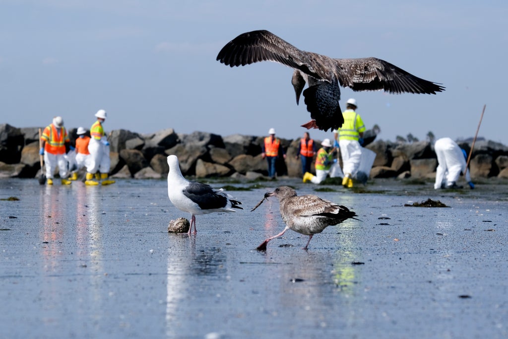 EXPLAINER: Whats happening with the California oil spill?