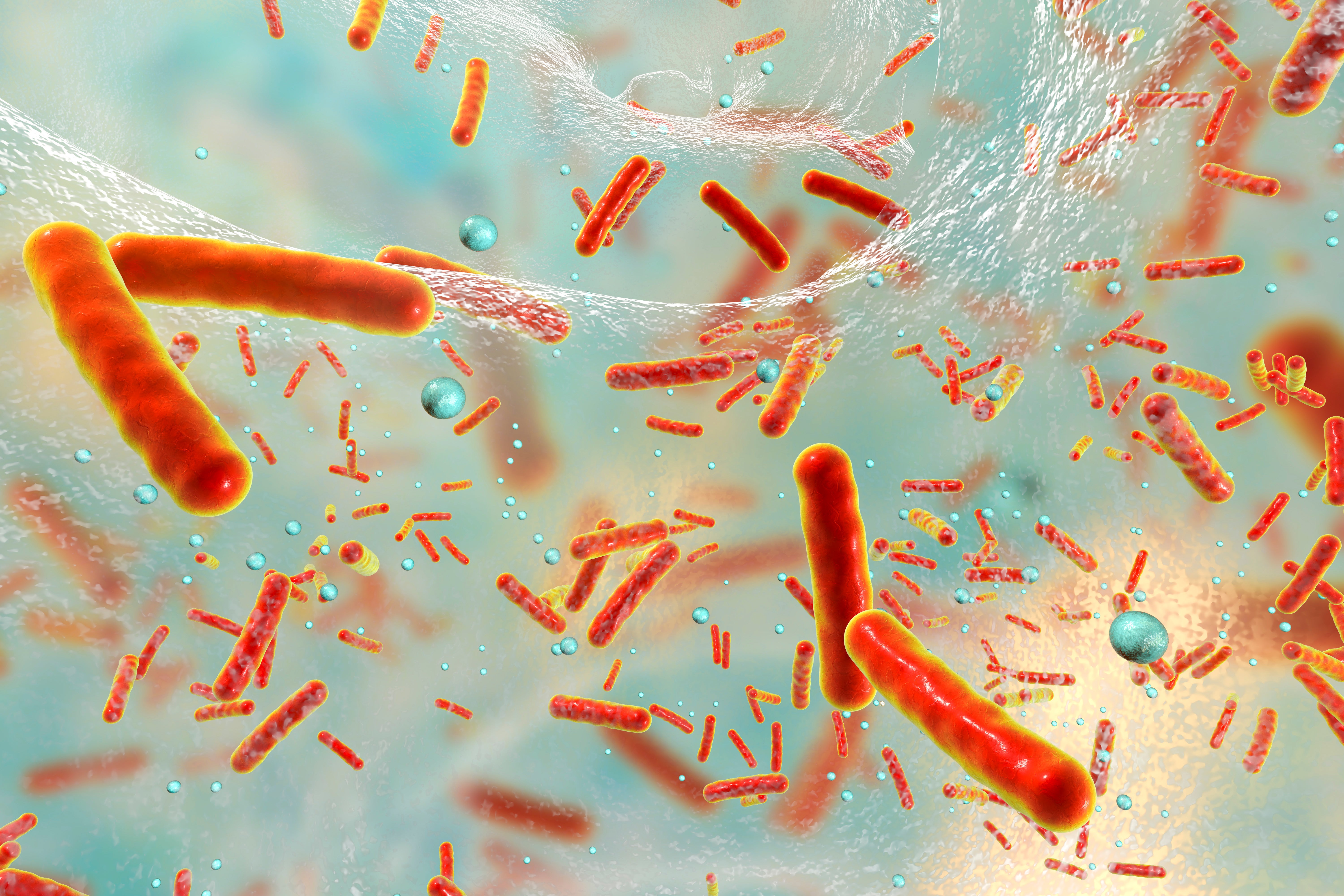 An illustration of antibiotic resistant bacteria inside a biofilm, which the new treatment specifically targets