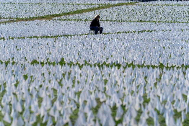 <p>An art installation of white flags on the National Mall memorialises thousands of Americans who have died of Covid-19.</p>