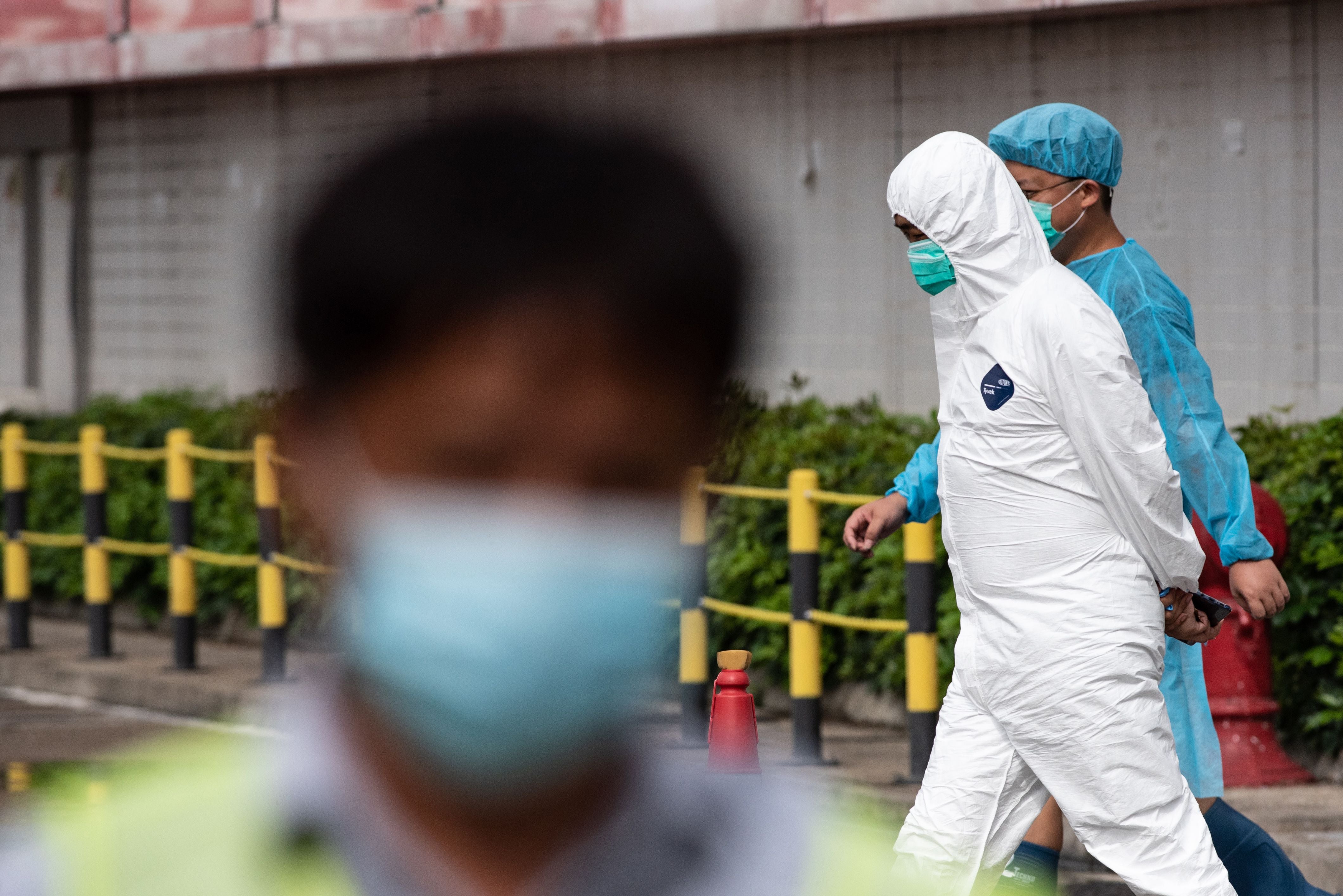 Hong Kong culled 4,100 pigs from mainland China after African swine fever was detected in an animal at a slaughterhouse in 2019