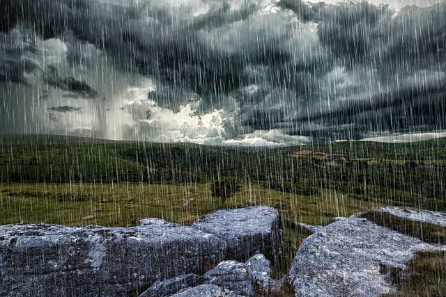 <p>When bad conditions set in on Dartmoor, you need a good guide</p>
