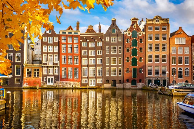 <p>Amsterdam in autumn</p>