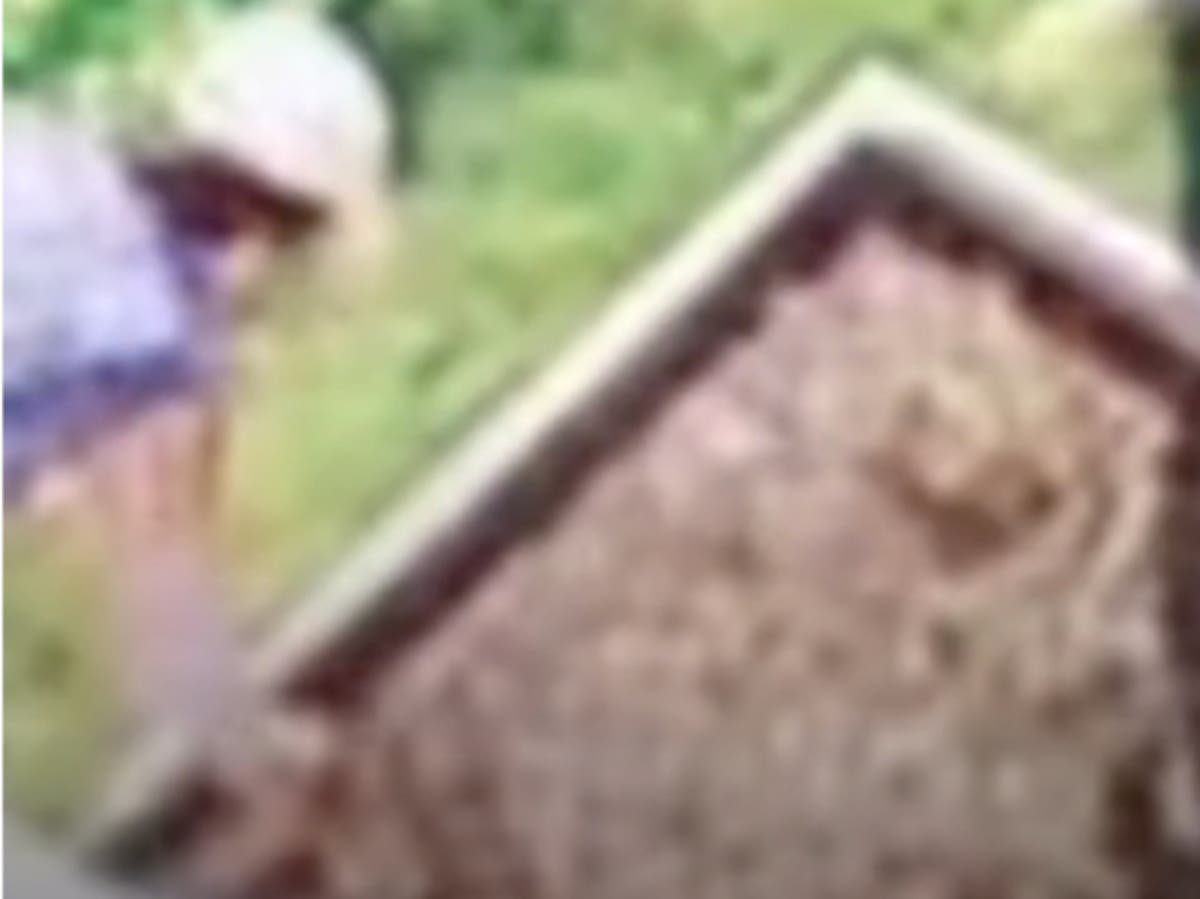 Brian Laundrie: Internet sleuths think wanted man is hiding in parents&rsquo; backyard