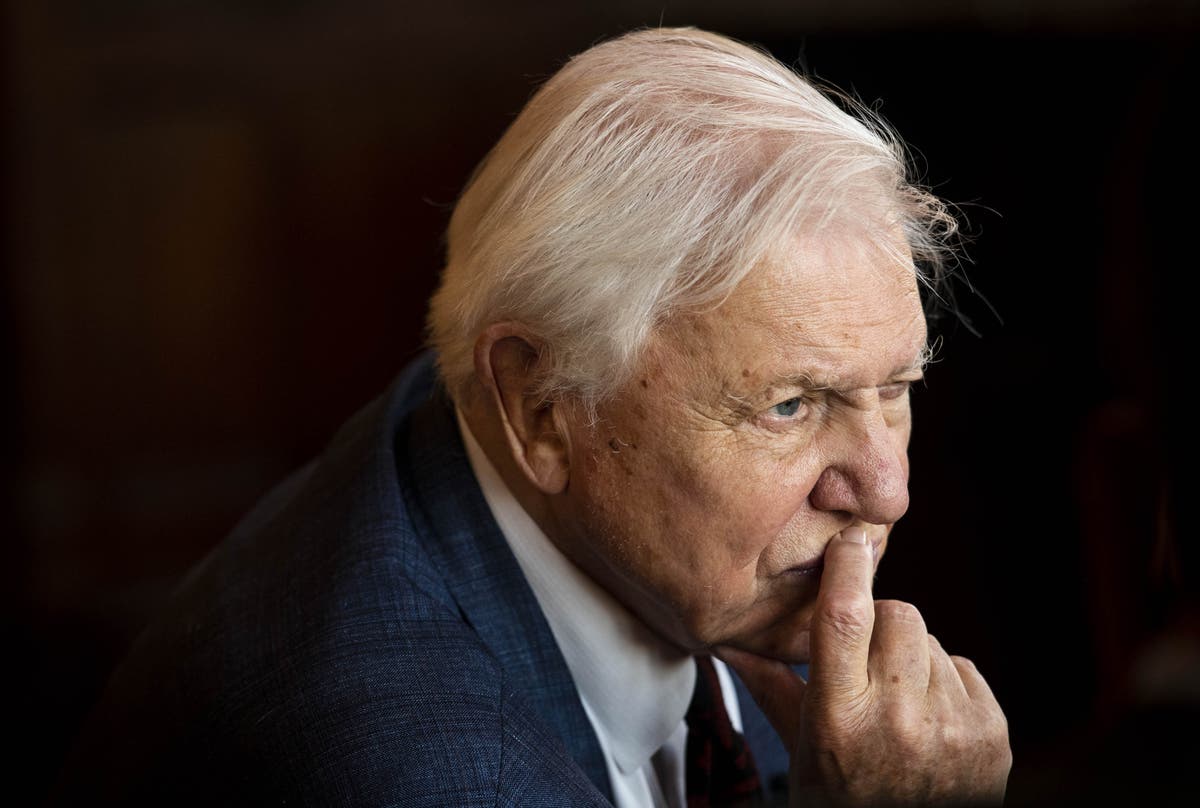 Humans are destroying biodiversity, Sir David Attenborough warns in new film Humans are destroying biodiversity, Sir David Attenborough warns in new film