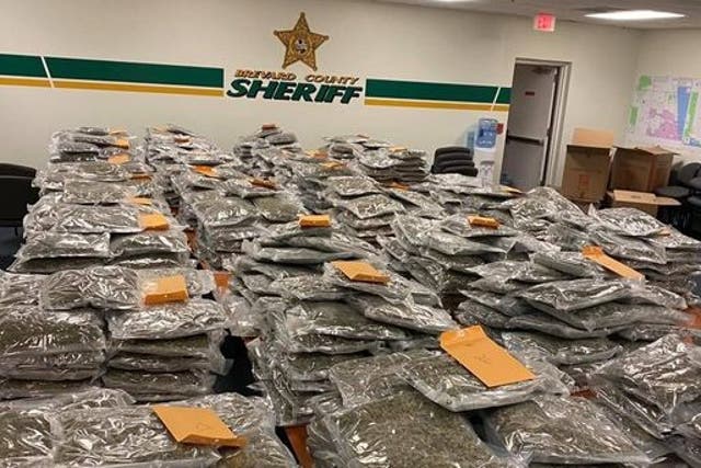 <p>Florida sheriff’s tongue-in-cheek Facebook post offers to reunite owner with 700 pounds of pot</p>