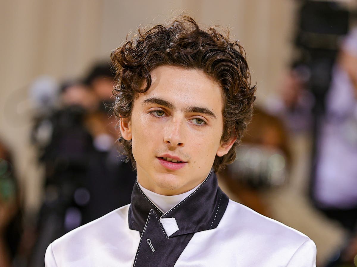 Timothee Chalamet reveals the two pieces of career advice his ‘hero ...