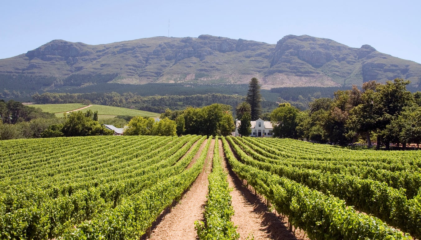 The Cape Winelands are just one of South Africa’s many charms