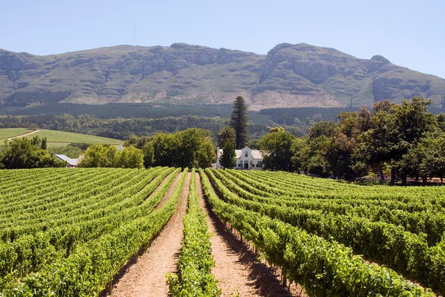 <p>The Cape Winelands are just one of South Africa’s many charms</p>