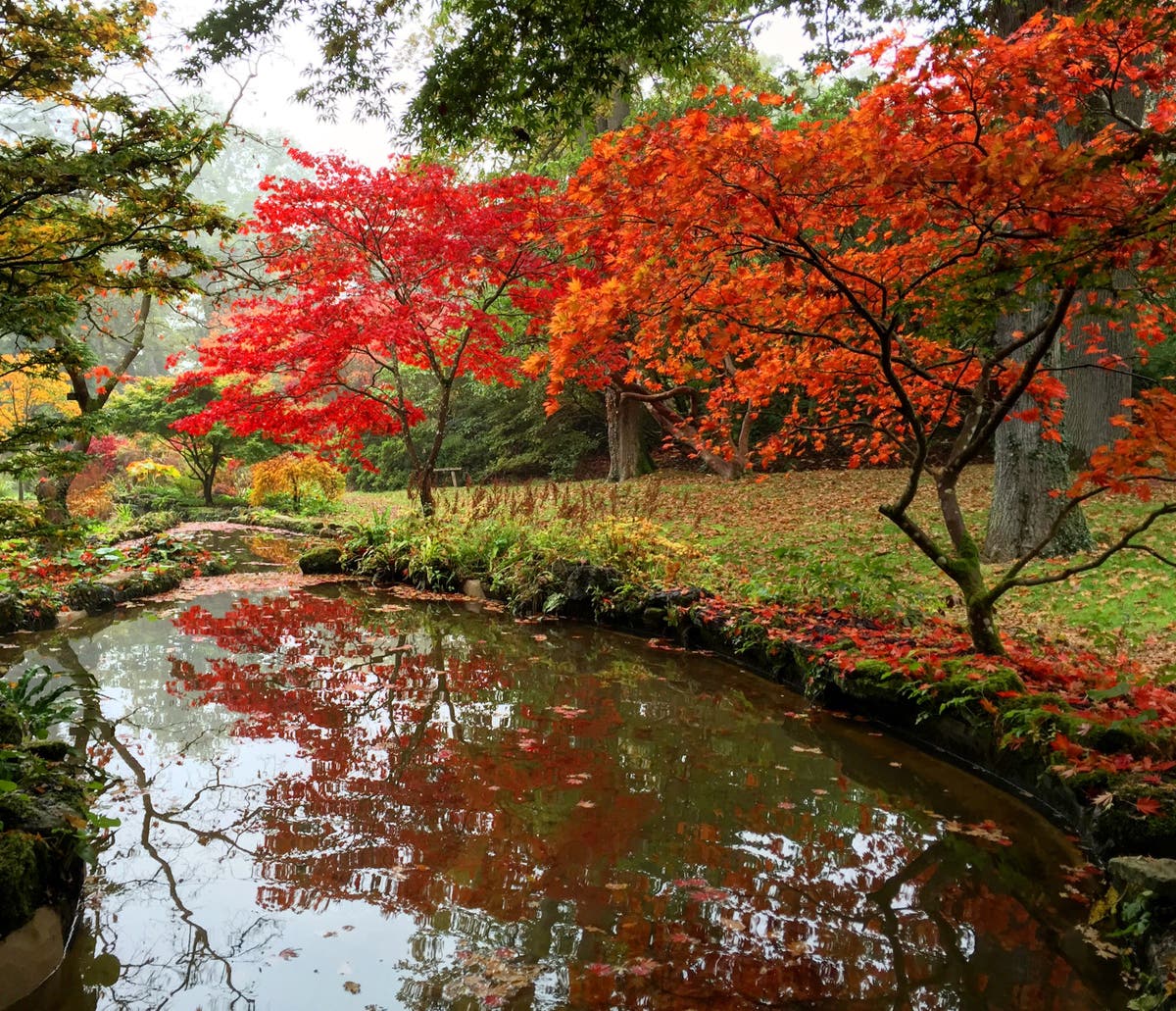 9 gardens to visit for dazzling autumn colours | The Independent