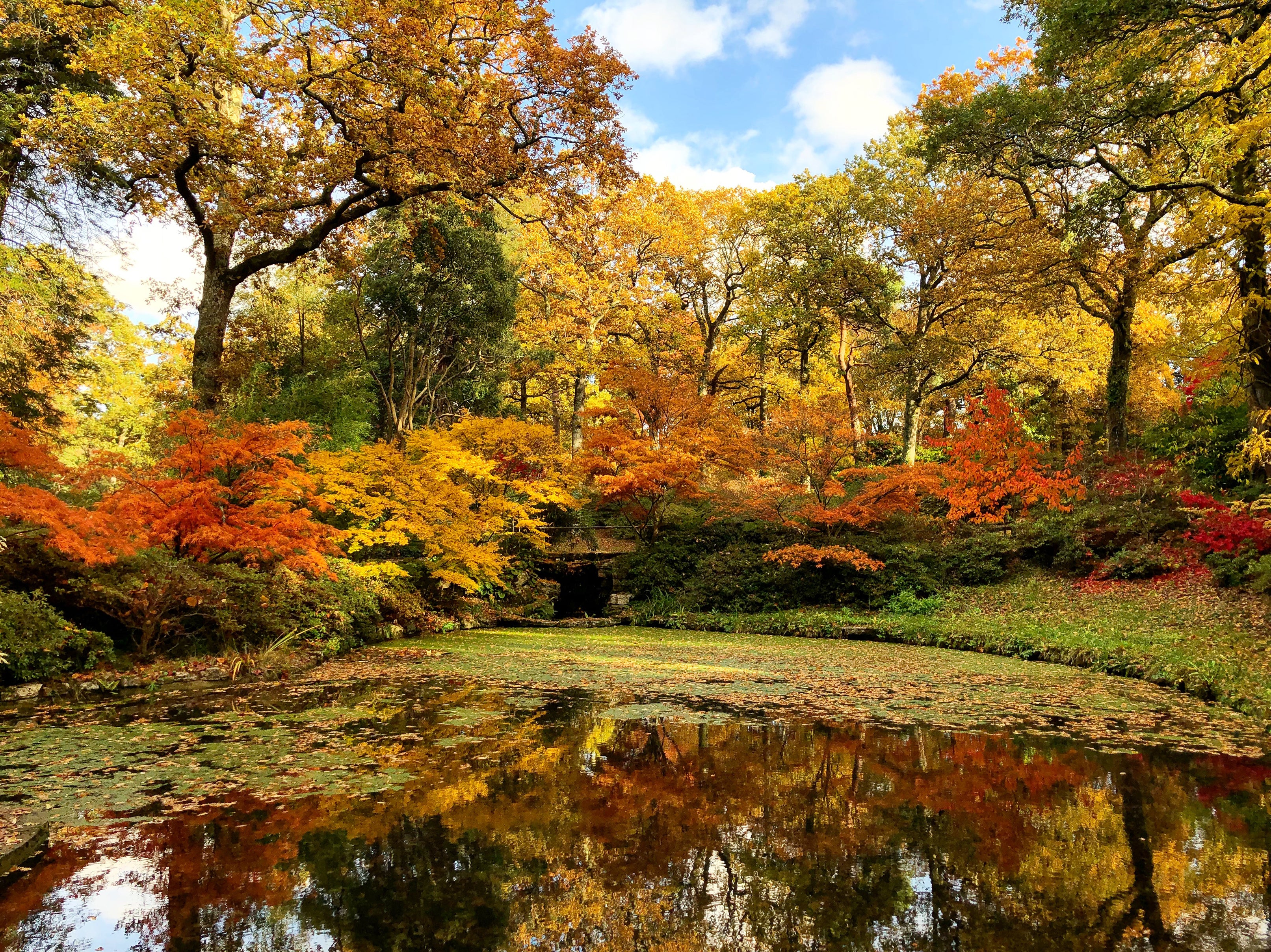 Exbury Gardens in autumn (Marie-Louise Agius/PA)