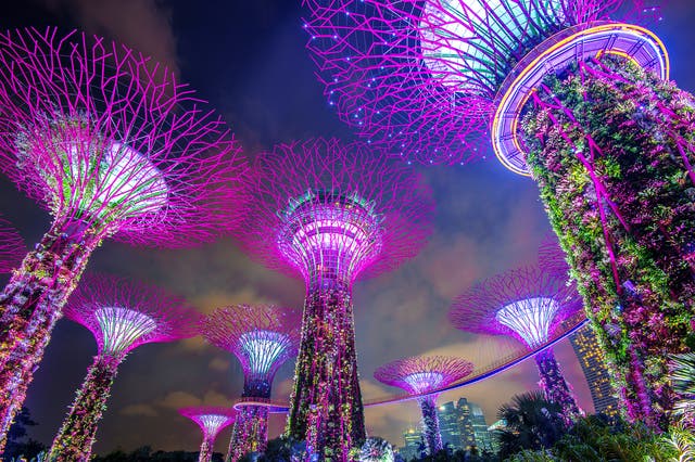 <p>Singapore’s Supertree Grove</p>